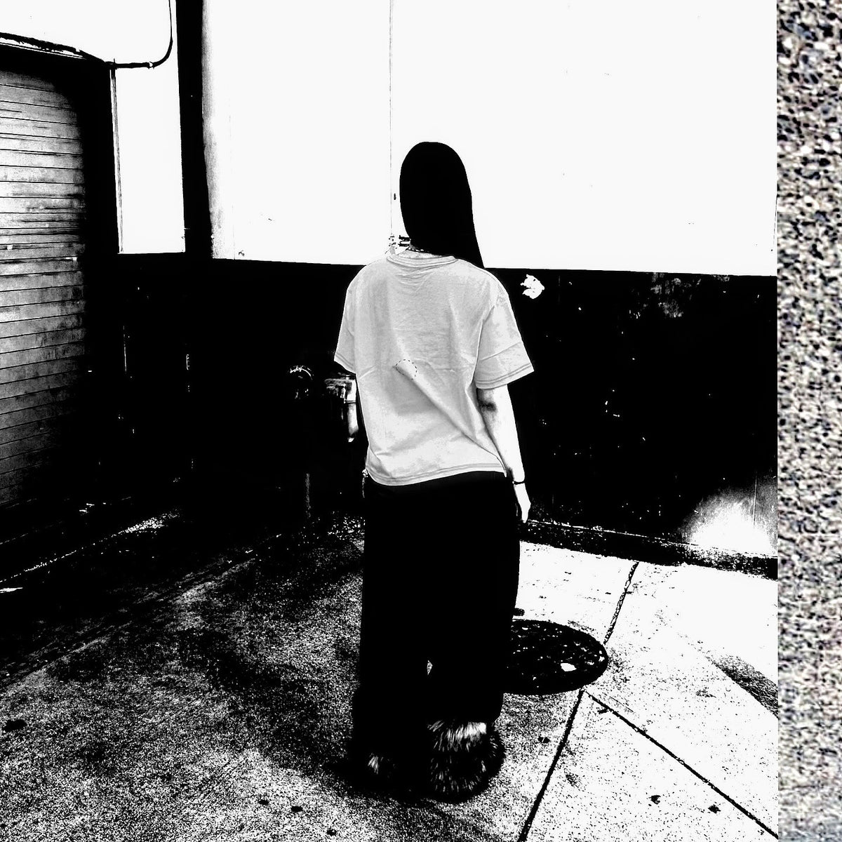 TUNNEL - THE BASIC T-SHIRT (PHOTO) (@cowmoofr) (TNNL.CA) (VANCOUVER, BC, CANADA)